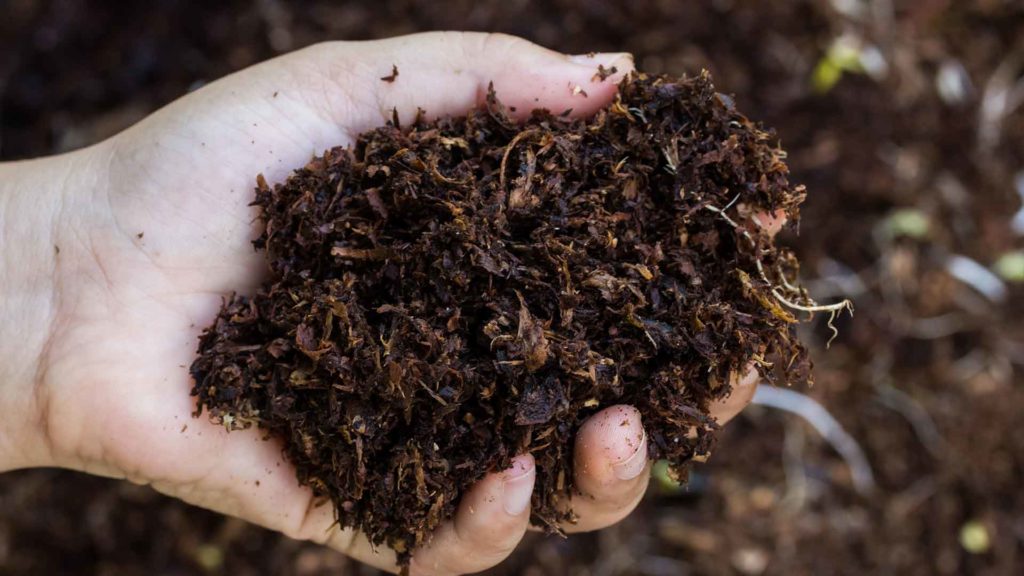Garten-Fibel - Magazin - Reifer Kompost für einen perfekten Garten
