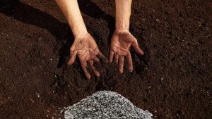 Mit Urgesteinsmehl einen schöneren Garten schaffen