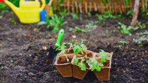 Gartenfibel Gartenmagazin Gartenkalender Gartenmonat Mai