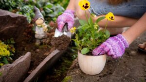 Gartenfibel Gartenmagazin Gartenkalender Gartenmonat Juni